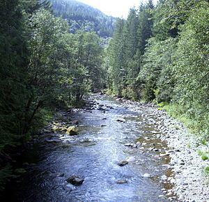 Salmon River (Clackamas County, Oregon) httpsuploadwikimediaorgwikipediacommonsthu