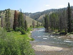 Salmon River (Idaho) httpsuploadwikimediaorgwikipediacommonsthu