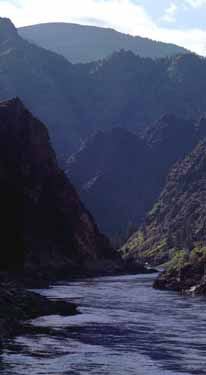 Salmon River Mountains httpsuploadwikimediaorgwikipediacommons00