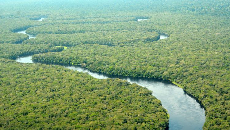 Salonga National Park New hope for Salonga National Park in DRC WWF