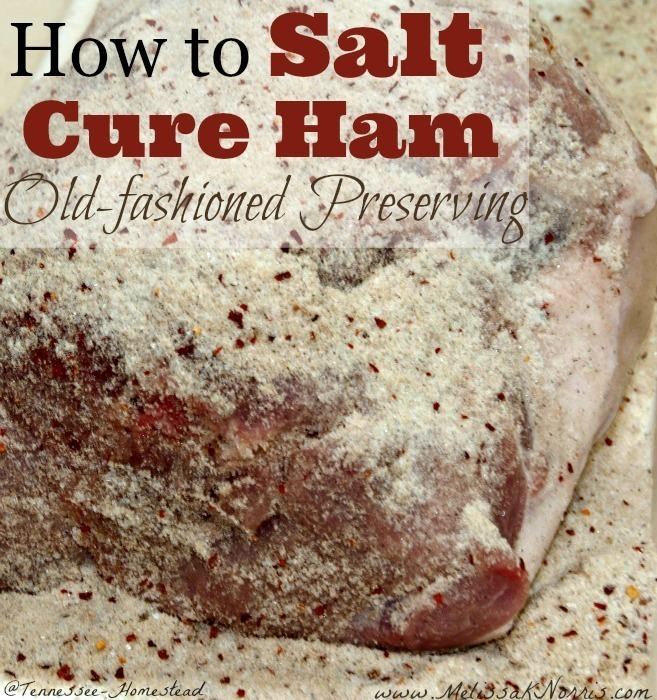 Salt cured meat - Alchetron, The Free Social Encyclopedia