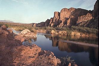 Salt River (Arizona) httpsuploadwikimediaorgwikipediacommons22