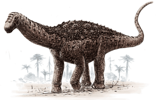 Saltasaurus SALTASAURUS DinoChecker dinosaur archive
