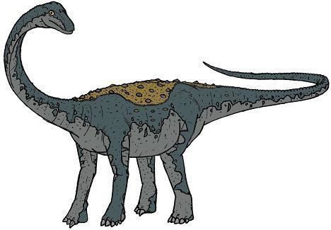 Saltasaurus Saltasaurus Dinosaur Facts information about the dinosaur saltasaurus