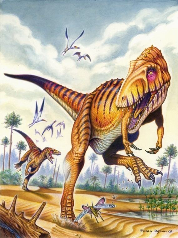 Saltriosaurus imagesdinosaurpicturesorgsaltriosauruspastori