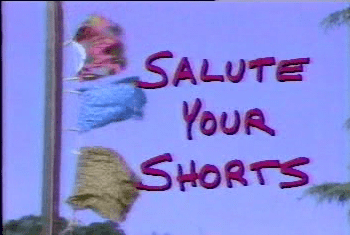 Salute Your Shorts Salute Your Shorts Wikipedia