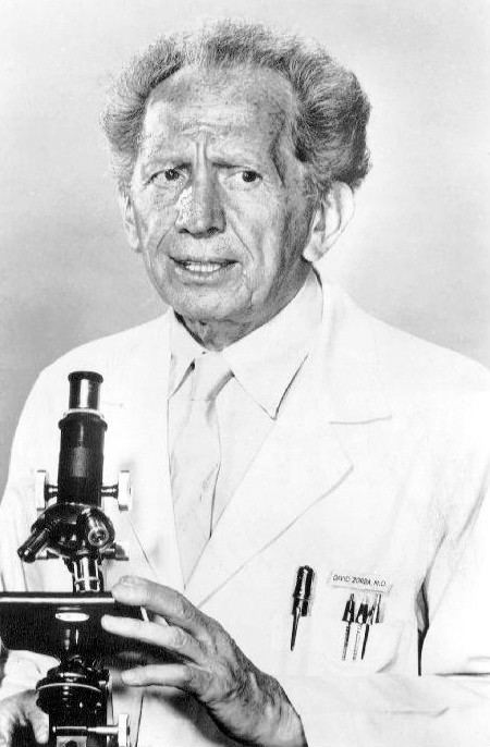 Sam Jaffe Sam Jaffe Wikipedia the free encyclopedia