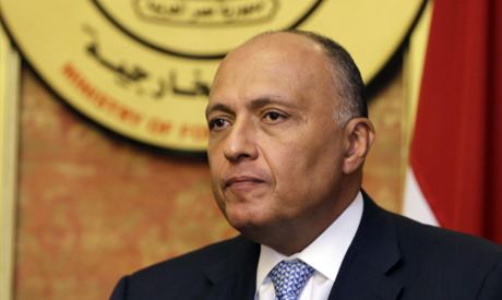 Sameh Shoukry Egyptian efforts for peace in Gaza ongoing FM Shoukry