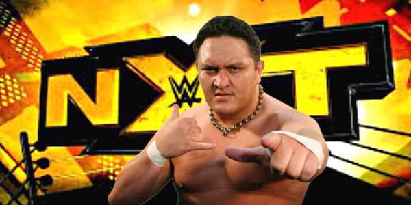Samoan Joe Samoan wrestler inexplicably not related to Rock Kayfabe