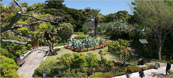 Samuel Cocking Enoshima 4 Samuel Cocking Garden YOKOSUKA Liberty Cove House