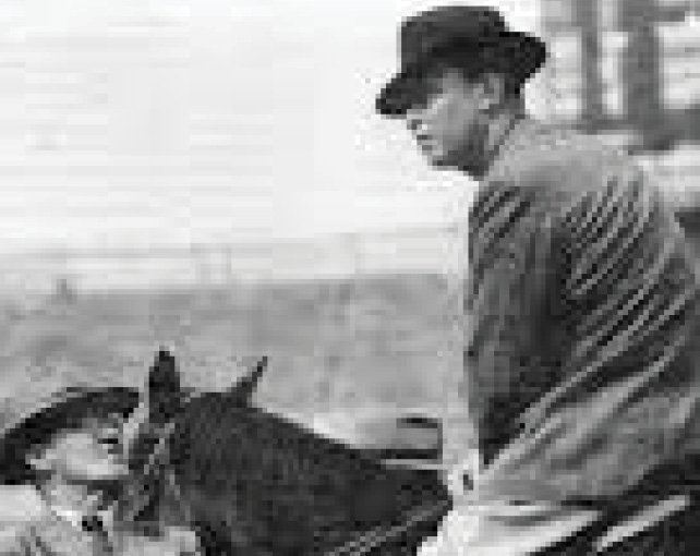 Samuel Hordern Samuel Hordern Equestrian Australia