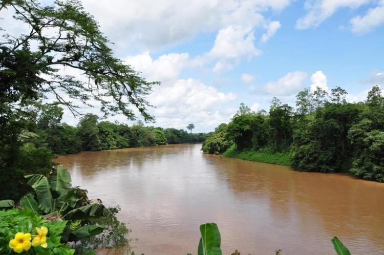 San Carlos River (Costa Rica) wwwreallatinotourscomsitereallatinotoursfile