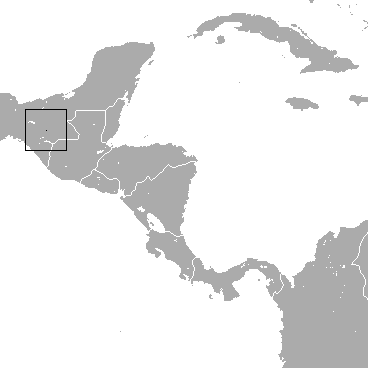 San Cristobal shrew httpsuploadwikimediaorgwikipediacommons00