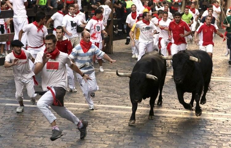 San Fermín San Fermn The Running of the Bulls Estudio Sampere