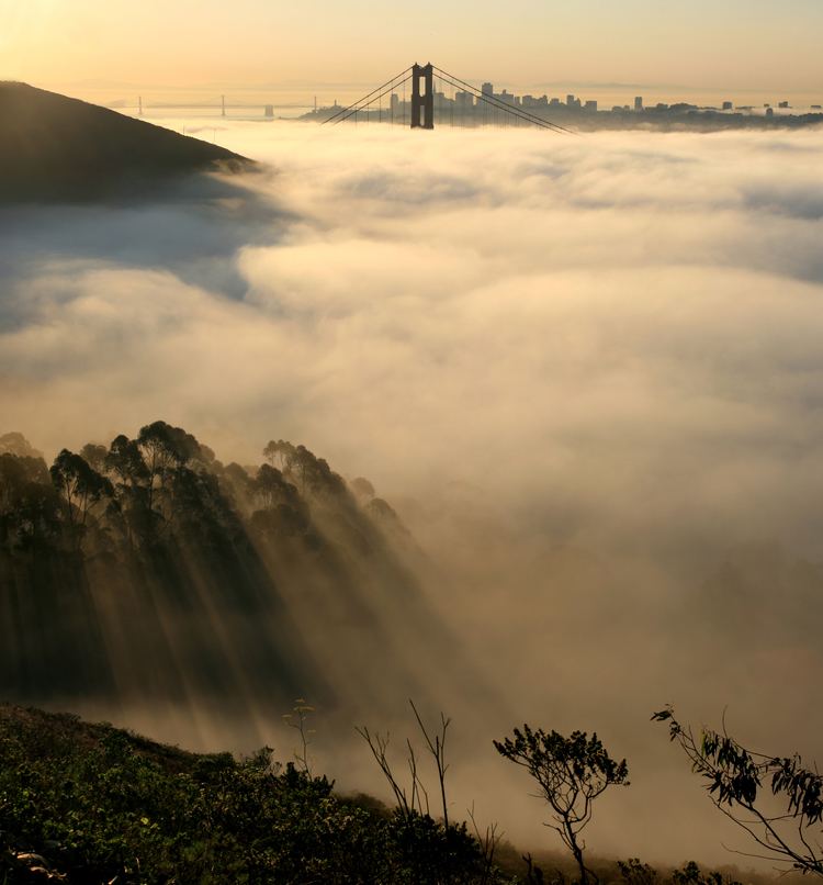 San Francisco fog San Francisco fog Wikipedia
