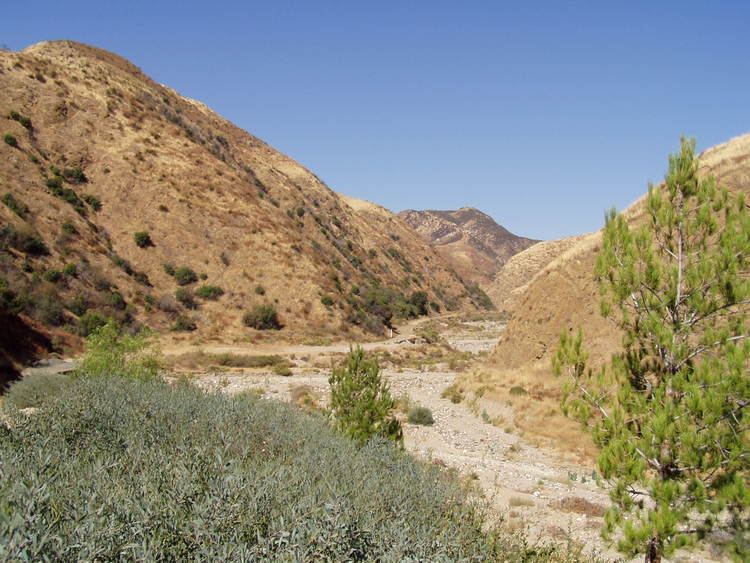 San Gabriel Fault Geology of Castaic and Adjacent Areas Southern California Regional