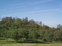 San Joaquin Biosphere Reserve httpsuploadwikimediaorgwikipediacommonsthu
