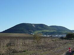 San José del Valle httpsuploadwikimediaorgwikipediacommonsthu