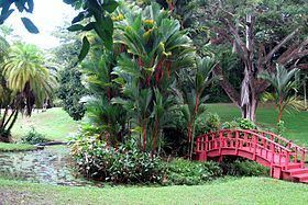 San Juan Botanical Garden httpsuploadwikimediaorgwikipediacommonsthu