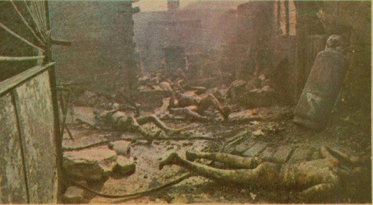 Victims of San Juanico disaster