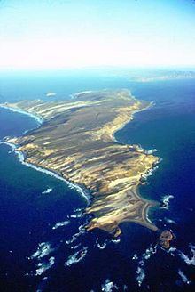 San Miguel Island httpsuploadwikimediaorgwikipediacommonsthu
