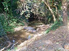 San Pablo Creek httpsuploadwikimediaorgwikipediacommonsthu