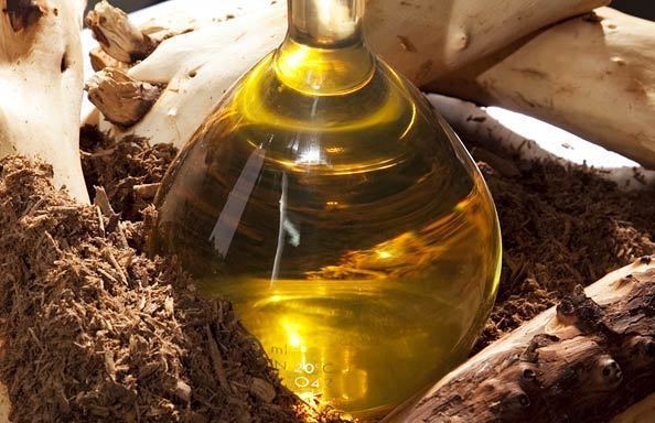 Sandalwood oil Top 8 Best Health Benefits of Sandalwood Oil for Health