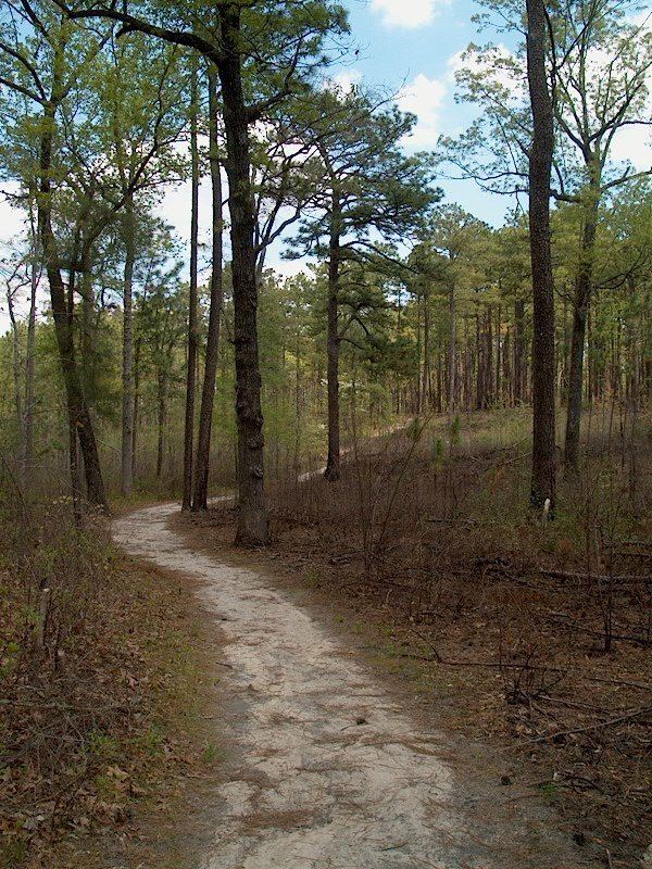 Sandhills (Carolina) httpsuploadwikimediaorgwikipediaen994Wey