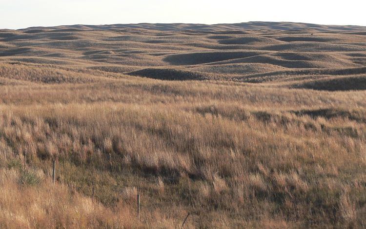 Sandhills (Nebraska) Nebraska sandhills Dangerous Lies Thunder Basin Pinterest