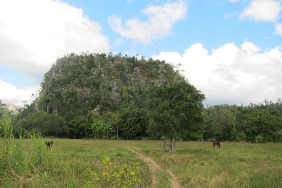 Sandino, Cuba Beautiful Landscapes of Sandino, Cuba