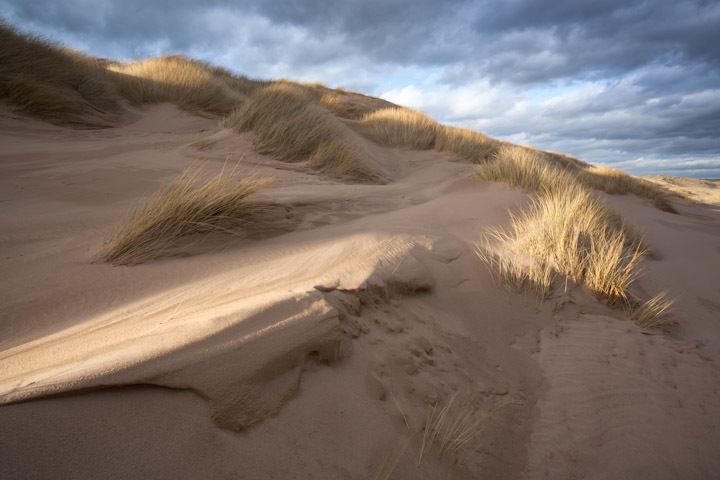 Sands of Forvie Sculpted sand The Sands of Forvie Fran Halsall