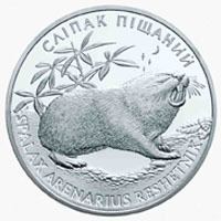 Sandy mole-rat httpsuploadwikimediaorgwikipediacommons00