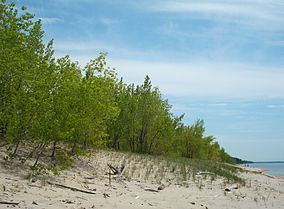 Sandy Pond Beach Unique Area httpsuploadwikimediaorgwikipediacommonsthu