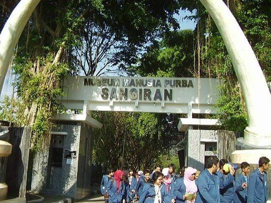 Sangiran Museum Sangiran Picture of Sangiran Museum and Early Man Site