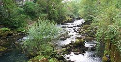 Sanica (river) httpsuploadwikimediaorgwikipediacommonsthu