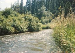 Sanpoil River httpsuploadwikimediaorgwikipediacommonsthu