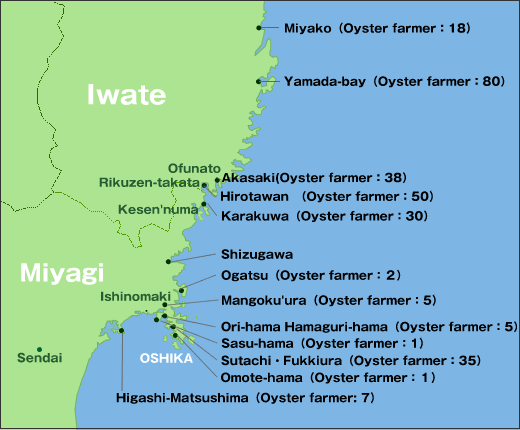 Sanriku Oyster business reconstruction project from the Great East Japan