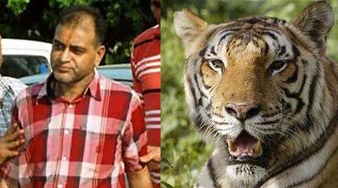 Sansar Chand Cancer kills poacher Sansar Chand who wiped out Sariska tigers The