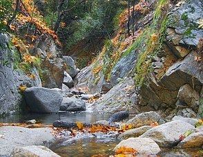 Santa Anita Creek httpsuploadwikimediaorgwikipediacommonsthu