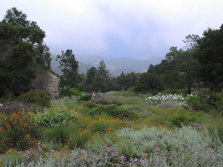 Santa Barbara Botanic Garden