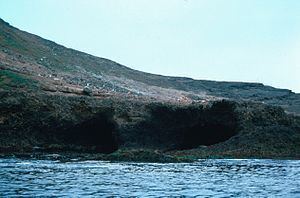 Santa Barbara Island httpsuploadwikimediaorgwikipediacommonsthu