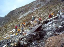 Santa Bárbara Airlines Flight 518 been crashed