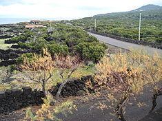 Santa Luzia (São Roque do Pico) httpsuploadwikimediaorgwikipediacommonsthu