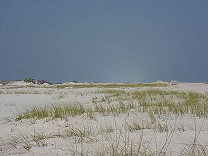 Santa Rosa Island (Florida) httpsuploadwikimediaorgwikipediacommonsthu