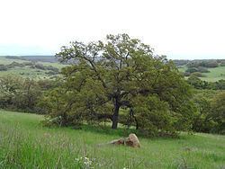 Santa Rosa Plateau httpsuploadwikimediaorgwikipediacommonsthu