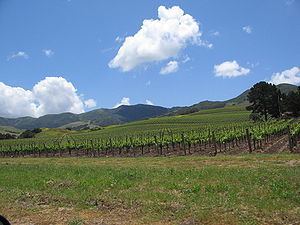 Santa Ynez Valley httpsuploadwikimediaorgwikipediacommonsthu