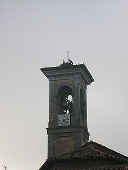 Sant'Alessio con Vialone httpsuploadwikimediaorgwikipediacommonsthu
