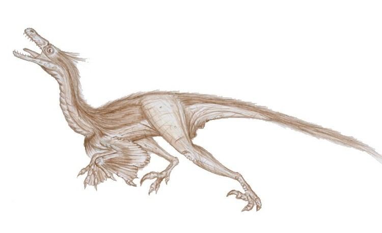 Santanaraptor Alchetron The Free Social Encyclopedia