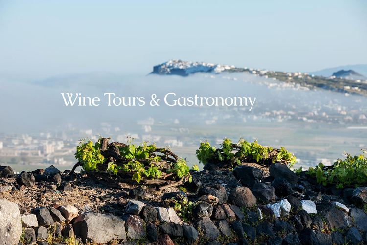 Santorini (wine) Santorini Wine Tour Official Site