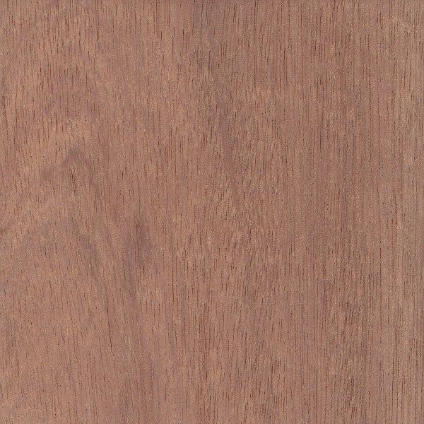 Sapele Sapele The Wood Database Lumber Identification Hardwood